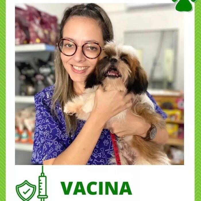 Conheça dicas para realizar passeios seguros com seu pet!
